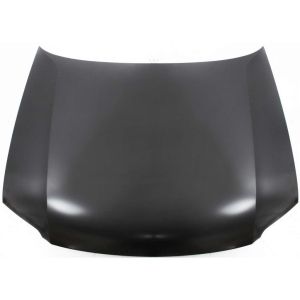 VOLKSWAGEN PASSAT (1PC HEAD/LAMP Design) HOOD OEM#3B0823031K 2001-2005 PL#VW1230130