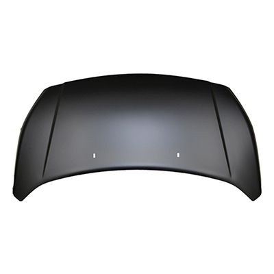 FORD TRUCKS & VANS TRANSIT CONNECT HOOD OEM#DT1Z16612A (P) 2014